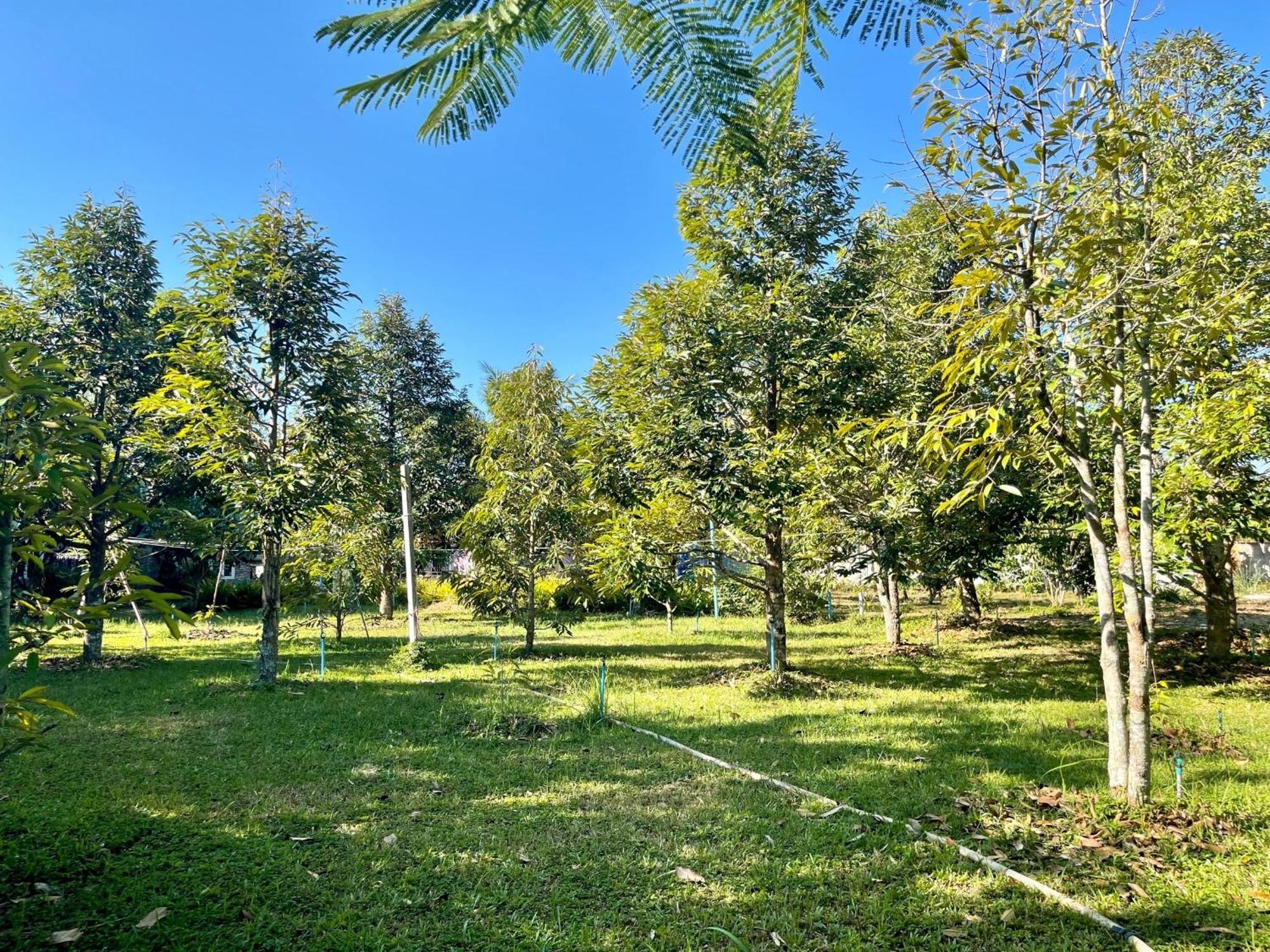 Panpim Resort Noen Hom Εξωτερικό φωτογραφία